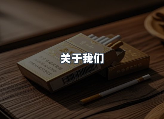 关于我们
